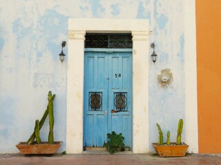 stylish door with cactus in the old town, Mexico