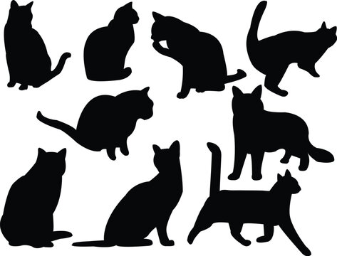 cats silhouette collection vector