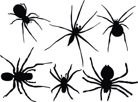 spiders silhouette collection vector