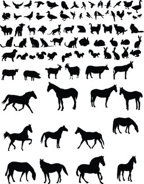 animals silhouette collection vector