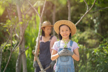 Fototapeta premium Cute little child girl with seedlings. volunteering, charity, people and ecology concept - volunteers hands planting tree seedling in park. Asian little girl holding a seedling.