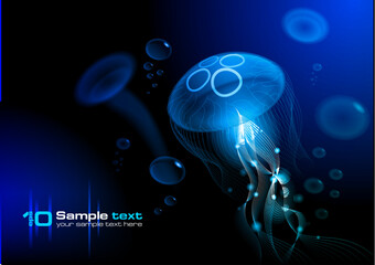Jellyfish at the black background. Vector illustration EPS 10