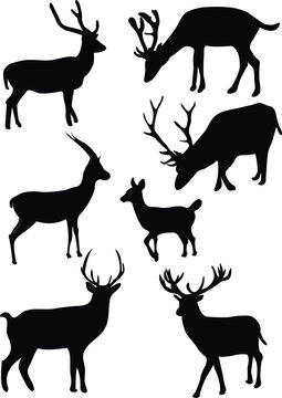 collection of deers - vector
