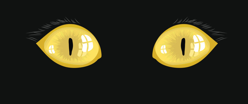yellow cat eyes illustration on a black background
