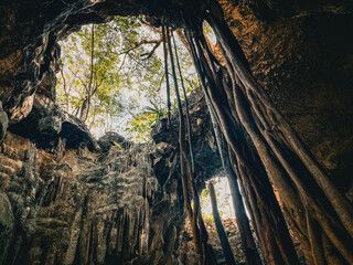 "The ceiling of the cavern in a closed cenote."