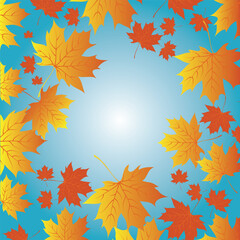 Fototapeta na wymiar autumn leaves against a background of blue sky