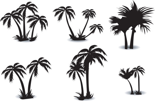 silhouette of coconut tree in arabic