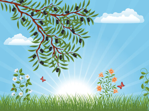 Summer landscape with an olive branch. Vector illustration.