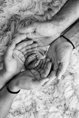 Feet of the newborn on the palms of the parents. The palms of the father and mother are holding the foot of the newborn baby in flokati. Black and white photography of a child's toes, heels and feet.