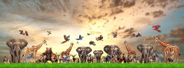 Fototapeta na wymiar Many wild animals in the meadow On white background with clipping path. generative AI