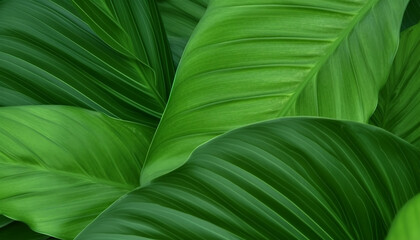 foliage background, green and fresh pattern, generative ai