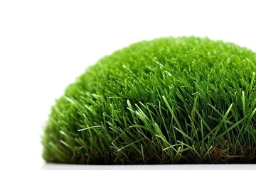 Vibrant Green Grass Field Up Close Generative AI