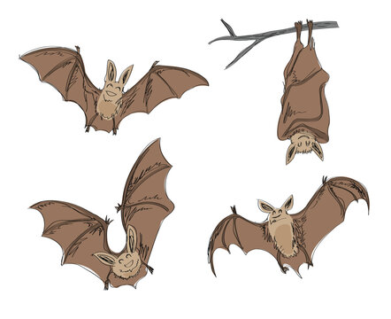 cartoon bats, in pencil drawing style.