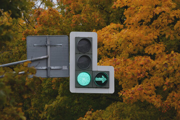 Hanging traffic light with green signal light in front of bright autumn trees