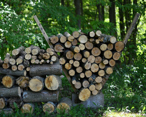 Stack of firewood against tree background