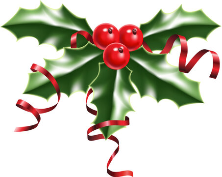 illustration of a sprig of holly with red berries and red ribbons
