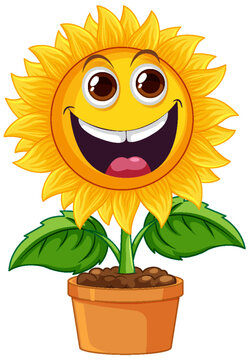 Sunflower plant in pot cartoon isolated