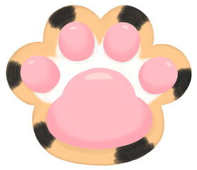 Cute calico orange black and white striped cat paw