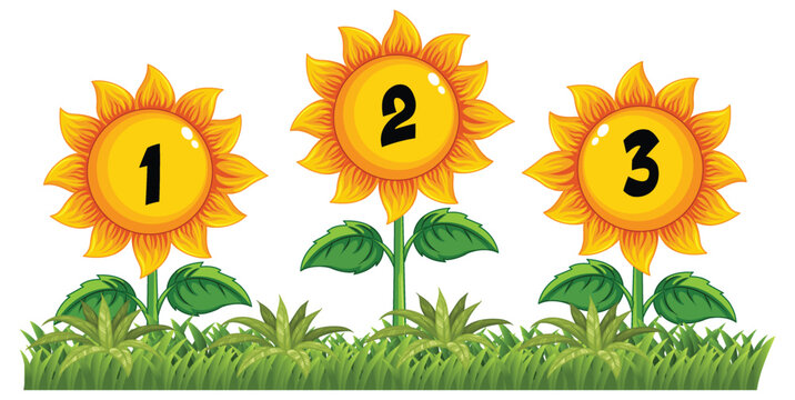 Counting number with sunflower theme