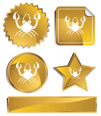 Fototapeta premium An image of the zodiac sign - cancer.
