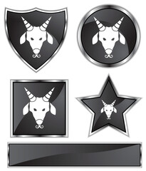Fototapeta premium An image of the zodiac sign - capricorn.