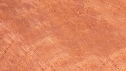 Wood Plank Texture For Background. Blank For Design. Vector Art