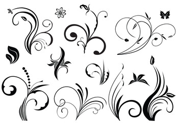 Floral vector elements in various styles. Vector