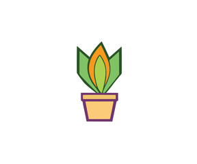 Aloe vera Plant in the pot leaf in vase illustration vector image