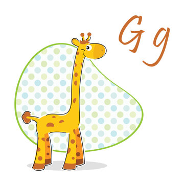 illustration of g for giraffe on isolated background