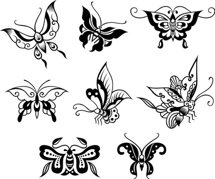 butterfly floral design