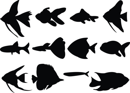 collection of aquarium fish silhouette - vector