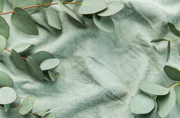 Eucalyptus branch  on textile fabric background. Flat lay, top view.  Space for text.