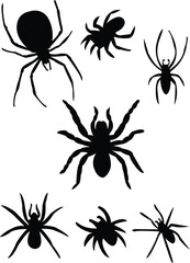 spiders silhouette - vector