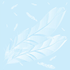 Fototapeta na wymiar Blue background with the image of feathers