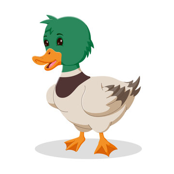 Cute duck cartoon isolated on white background. Happy duck cartoon posing. Vector illustration