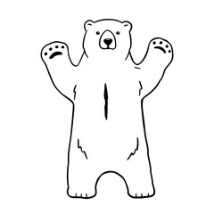 Obraz premium White polar bear stands on paws. Outline vector illustration of forest animal.