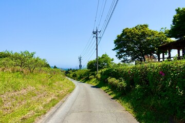 田舎の道
