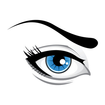 illustration of lady eye  on white background