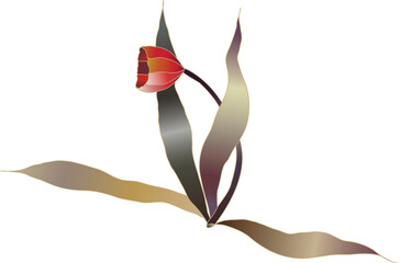 red tulip flower vector sketch