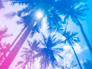 Fototapeta na wymiar Coconut palm trees on summer colorful sky with sun rays, beautiful tropical blue, purple and pink gradient background, view from bottom.