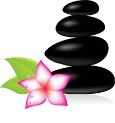 Spa stone and pink beautiful flower. Vector illustration.