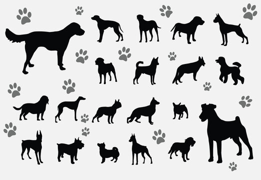 dogs silhouettes - vector