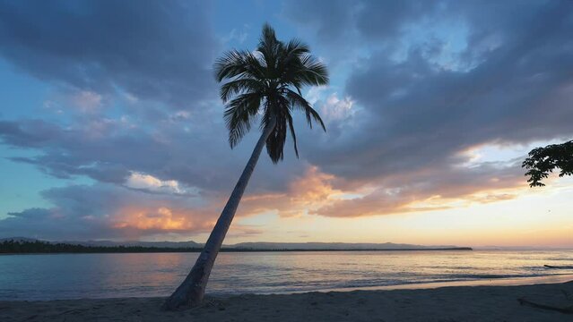 Sea waves on the sunset tropical palm beach for relaxing on a paradise island. Coconut palm against the morning sky as an exotic summer landscape with a calm sea coast. Twilight on the evening beach.
