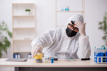 Young male chemist working at the lab during pandemic - obrazy, fototapety, plakaty