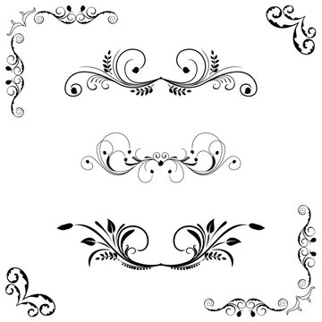 Set of floral frame and border. Vector