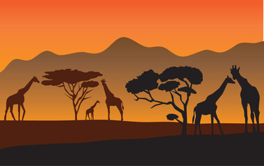 Fototapeta na wymiar vector giraffes with babies in Africa
