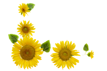 Rolgordijnen yellow flowers sunflowers local flora arrangement flat lay postcard style © phenphayom