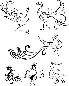 tribal bird symbol design