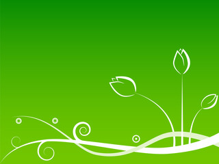 Vector pattern with white flowers on green background © Designpics