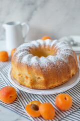 sweet home made apricot sponge cake